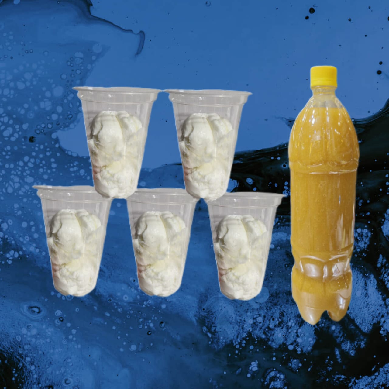 آبمیوه بستنی شماره 3